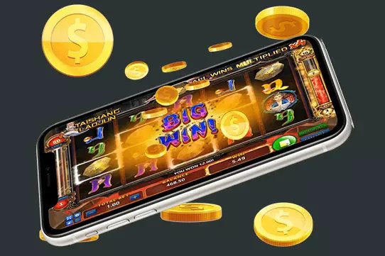 100cuci 88